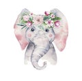 A poster with a baby elephant. Watercolor cartoon elephant tropical animal illustration. Jungle exotic summer print. Royalty Free Stock Photo