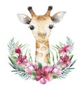 A poster with a baby giraffe. Watercolor cartoon giraffetropical animal illustration. Jungle exotic summer print. Royalty Free Stock Photo