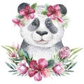 A poster with a baby panda. Watercolor cartoon panda tropical animal illustration. Jungle exotic summer print.