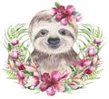 A poster with a baby sloth. Watercolor cartoon sloth tropical animal illustration. Jungle exotic summer print.
