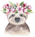 A poster with a baby sloth. Watercolor cartoon sloth tropical animal illustration. Jungle exotic summer print. Royalty Free Stock Photo