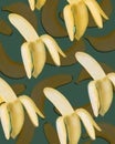 Poster with bananas. Green background