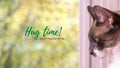 Poster, banner, background, collage or card related to hug your cat day, june 4. Hug time. Pet