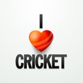 Poster or banner design for Cricket.