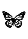 A sketch of a single butterfly on white background