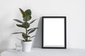 Poster A3 in black frame in nordic stylish modern interior, ficus, living room. Empty space for design layout