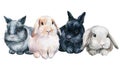 Poster with bunnies on an isolated white background, painted with watercolor, fluffy bunny