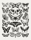 Poster of buterflies with black and white wings in the style of wavy lines and organic shapes. Y2k aesthetic, tattoo