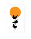 Three Birds silhouettes on sunset, vector. Birds Cartoon illustration isolated on white background. Wall Decals Royalty Free Stock Photo
