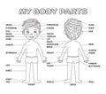 Poster Cartoon Boy and My Body Parts front and back view with vocabulary. Black and White Color. Illustration for page education