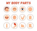 Poster for children learning. Parts of the body in separate pictures. Head, arm, leg and other parts