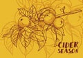 Poster for cider season with beautiful graphic branch of apple tree