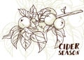 Poster for cider season with beautiful graphic branch of apple tree