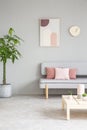 Poster and clock above settee with pink pillows in grey flat interior with plant and table. Real photo
