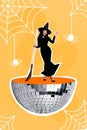 Poster collage of lady magician stand disco glow ball sphere with broom isolated on halloween decorated spider web Royalty Free Stock Photo