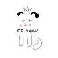 Poster cute dog on a isolated white background and the inscription, its a girl. Royalty Free Stock Photo