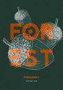 Poster design template. Forest natural objects