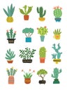 A poster with flowers. Vector cacti in pots