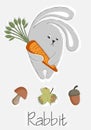 Poster with forest hare with carrot on gray background.