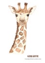 Poster with a giraffe head on a white background. Royalty Free Stock Photo