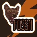 Poster with head of aggressive fossa. Madagascar predatory animal. Vector illustration. Danger concept image.