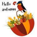 Poster hello autumn with umbrella and bird on a white background - vector illustration, eps