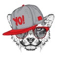 The poster with the image cheetah portrait in hip-hop hat. Vector illustration.