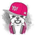 The poster with the image dog portrait in hip-hop hat adn with headphones. Vector illustration. Royalty Free Stock Photo