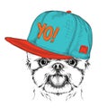 The poster with the image dog portrait in hip-hop hat. Yorkshire Terrier. Vector illustration.