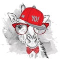 The Poster With The Image Giraffe Portrait In Hip-hop Hat. Vector Illustration.