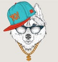 The poster with the image husky portrait in hip-hop hat. Vector illustration. Royalty Free Stock Photo