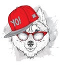 The poster with the image husky portrait in hip-hop hat. Vector illustration. Royalty Free Stock Photo