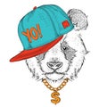 The poster with the image panda portrait in hip-hop hat. Vector illustration.