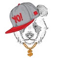 The poster with the image panda portrait in hip-hop hat. Vector Royalty Free Stock Photo