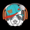 The poster with the image panda portrait in hip-hop hat. Vector illustration.