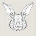 The poster with the image rabbit portrait. Hand draw vector illustration.