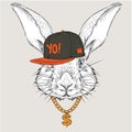 The poster with the image rabbit portrait in hip-hop hat. Vector illustration.