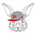 The poster with the image rabbit portrait in hip-hop hat. Vector illustration.