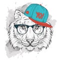 The poster with the image tiger portrait in hip-hop hat. Vector illustration.