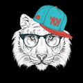 The poster with the image tiger portrait in hip-hop hat. Vector illustration.