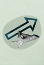 Poster image vertical photo collage of hand hold arrow pointer direction success statistics development concept aim