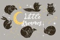 Poster with the inscription little dreamer, with animals and stars. Vector graphics