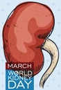 World Kidney Day Design with Hand Drawn Kidney, Vector Illustration