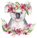 A poster with a koala. Watercolor cartoon koala tropical animal illustration. Jungle exotic summer print.