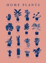 Poster linear home plants coral