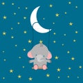 Poster with a little elephant riding a swing at night, kids and baby t-shirts and wear. Elephant bathes in water. Vector Royalty Free Stock Photo