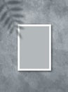 Poster mockup with a white frame and a palm leaf shadow on a gray wall background Royalty Free Stock Photo