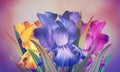 Poster with original artistic colorful fantasy violet iris