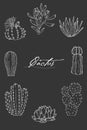 Poster with ornament hand drawn lettering, cacti and succulents on a chalkboard background