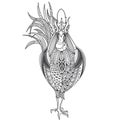 Poster with patterned rooster Royalty Free Stock Photo
